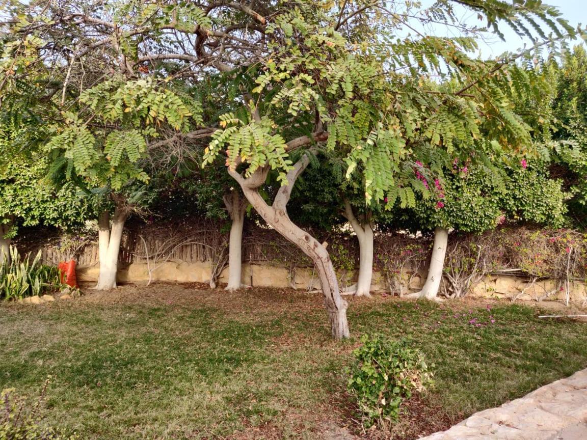 Tunis Lake View ‘Izbat an Nāmūs Bagian luar foto